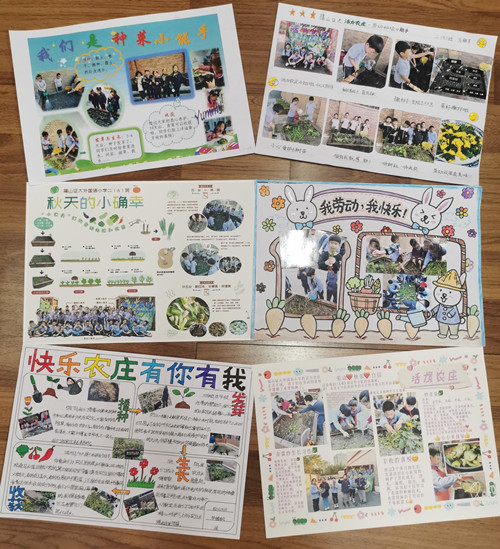浦东新区福山证大外国语小学劳动教育小报_副本.jpg