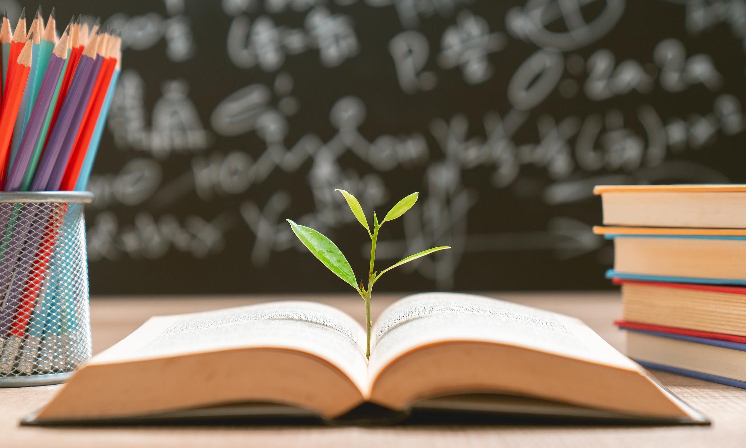 热议②|上海教育系统深入学习贯彻党的二十届四中全会精神