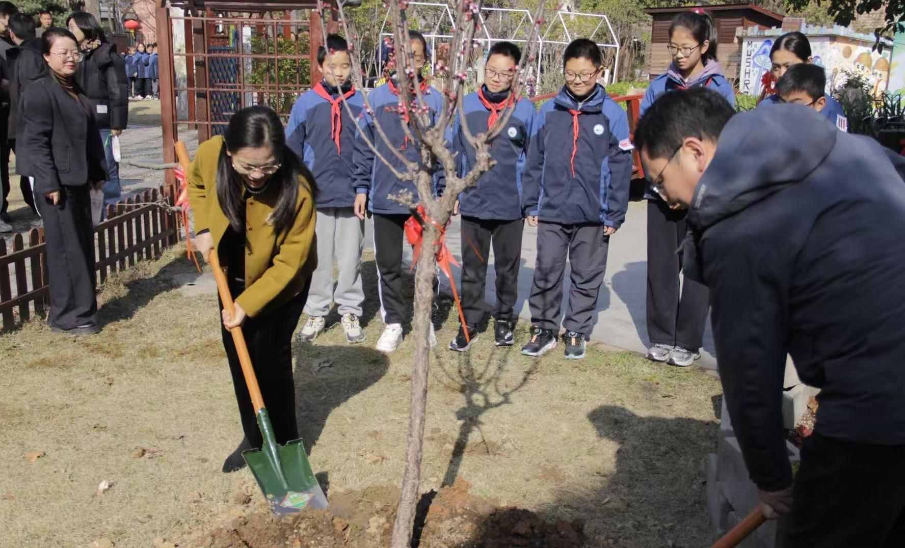 松江这所学校的植树节：把决策权交给学生，让精神随树“迁徙”