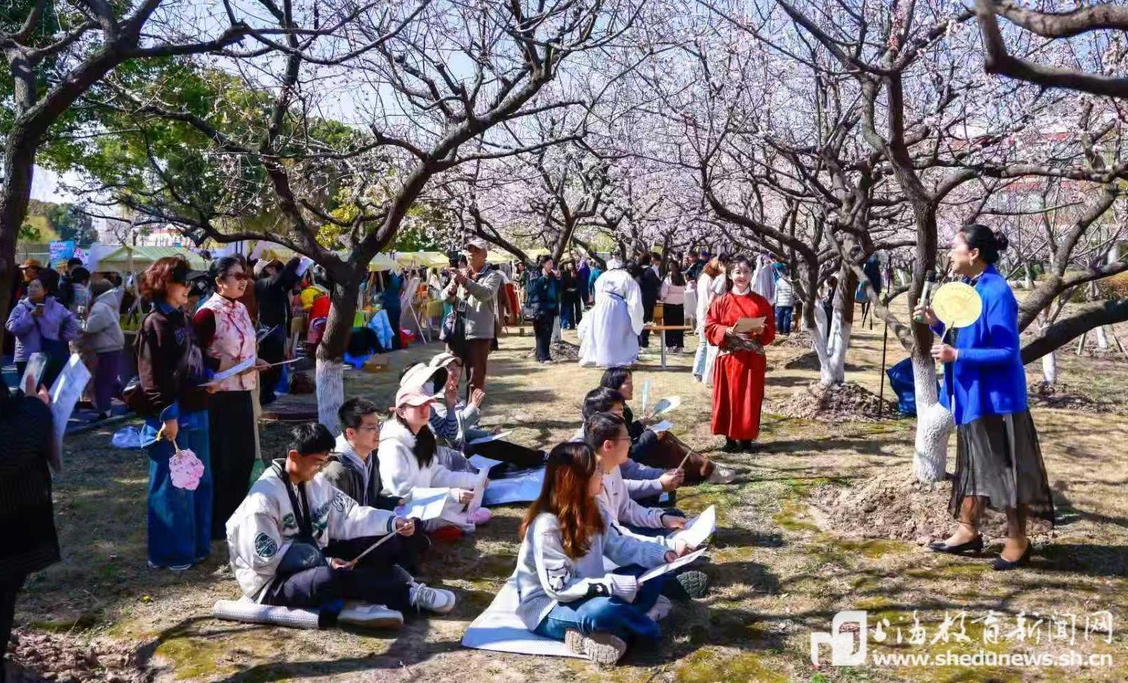 杏花深处有课堂,上海中医大用“大思政”铺展春日育人画卷