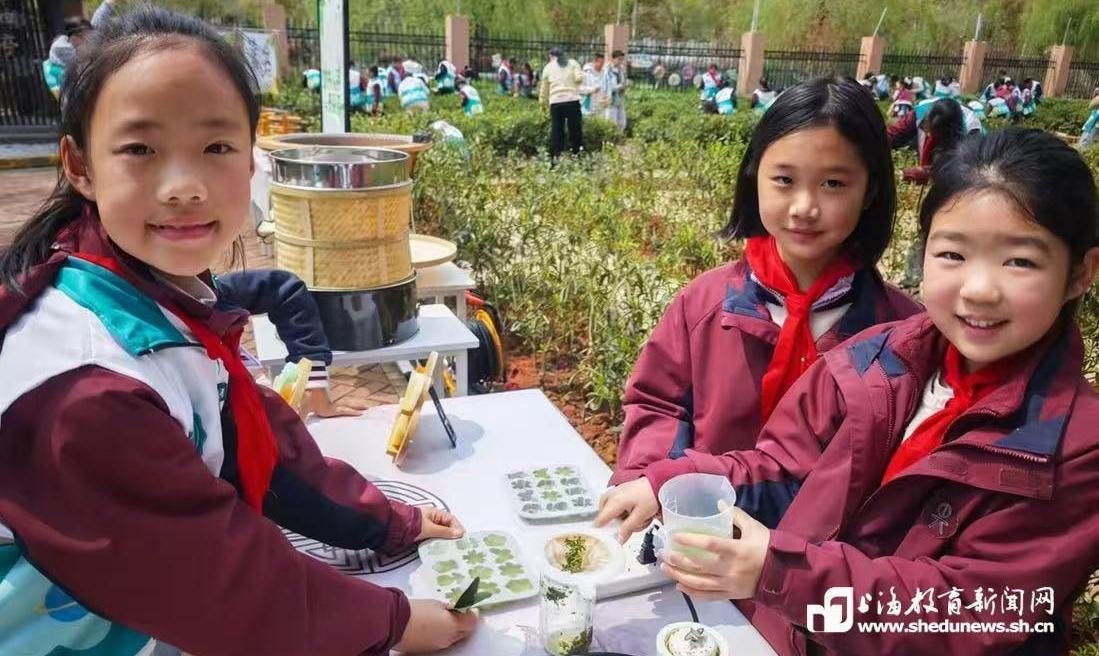 在380平方米的茶园里，泗泾五小用7年“种”出了什么样的教育？