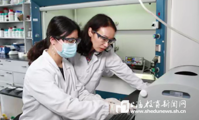 胶原蛋白“造”角膜、口腔膜……屈雪教授团队这样“破解”医用材料难题