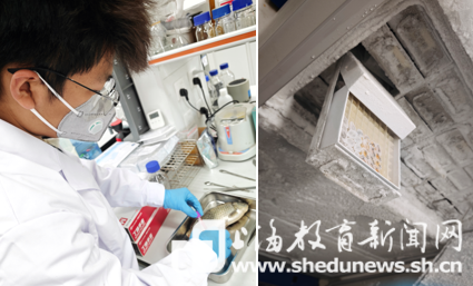 龟宠热潮席卷消费市场,大学生团队研发15分钟水宠AI健康管理解决方案